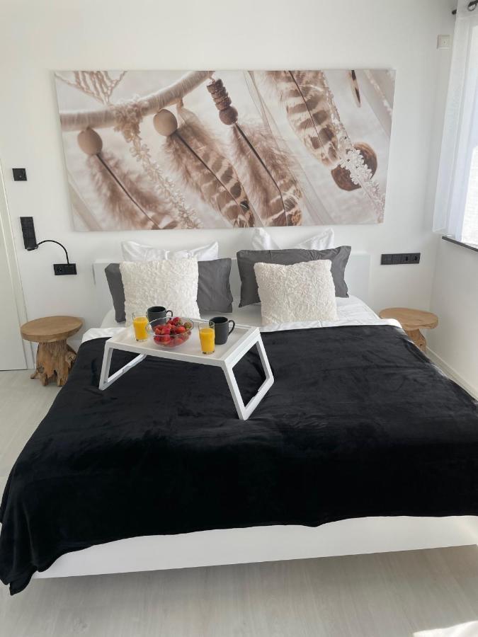 Apartments Saaldorf-Ferienhaus Mit 6 Apartments 45Qm-120Qm Direkt Am Thueringer Meer-Bleilochtalsperre Bad Lobenstein Extérieur photo
