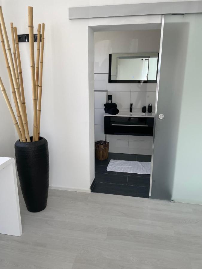 Apartments Saaldorf-Ferienhaus Mit 6 Apartments 45Qm-120Qm Direkt Am Thueringer Meer-Bleilochtalsperre Bad Lobenstein Extérieur photo
