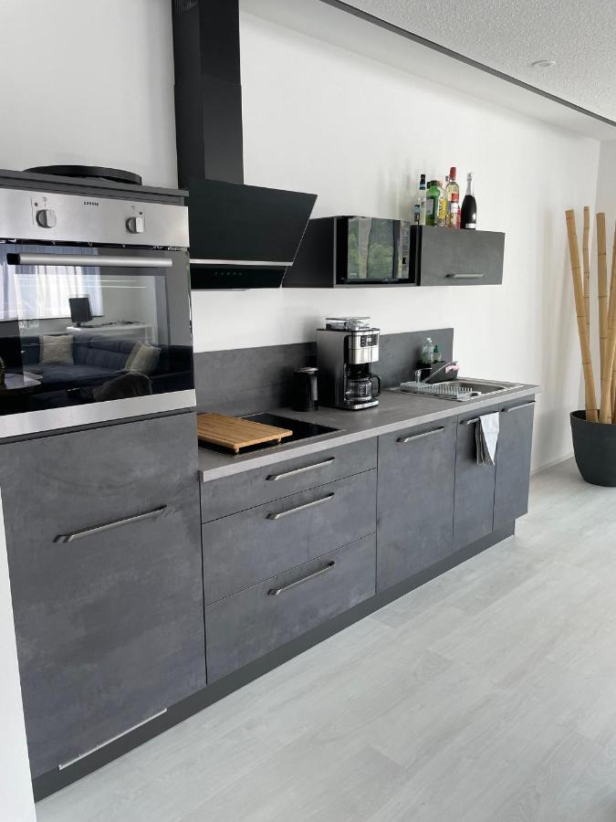 Apartments Saaldorf-Ferienhaus Mit 6 Apartments 45Qm-120Qm Direkt Am Thueringer Meer-Bleilochtalsperre Bad Lobenstein Extérieur photo