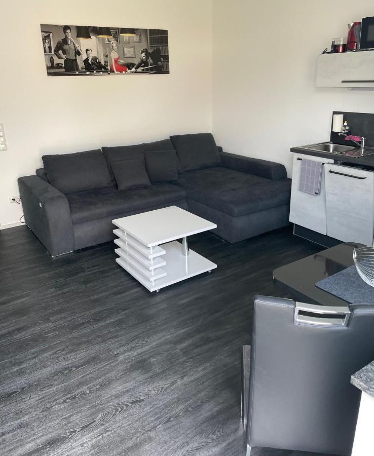 Apartments Saaldorf-Ferienhaus Mit 6 Apartments 45Qm-120Qm Direkt Am Thueringer Meer-Bleilochtalsperre Bad Lobenstein Extérieur photo