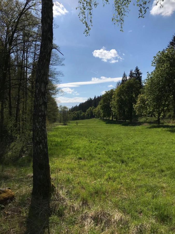 Apartments Saaldorf-Ferienhaus Mit 6 Apartments 45Qm-120Qm Direkt Am Thueringer Meer-Bleilochtalsperre Bad Lobenstein Extérieur photo
